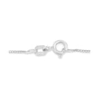 Silver clasp on a white background