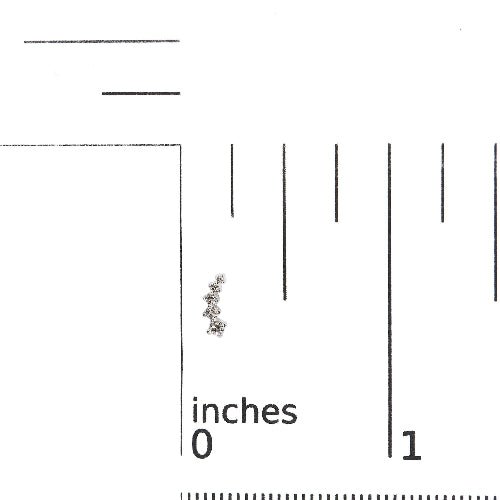 Small earring on a ruler scale showing its size in inches